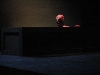 sp1